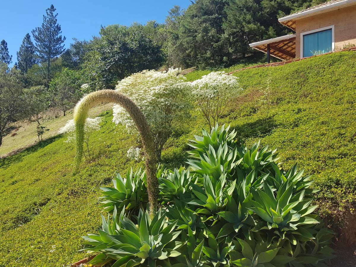 Pousada Recanto Dos Beija Flores Monte Alegre do Sul Exterior photo